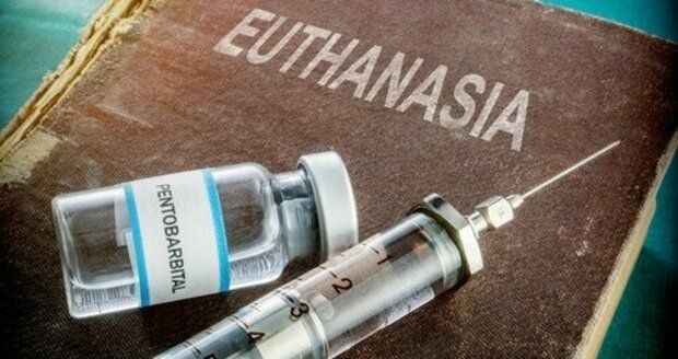 Eutanazie, ilustrační foto
