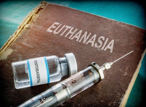 Eutanazie, ilustrační foto