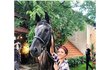Eva Burešová se potýká s nečekanou fóbií: Z koní!