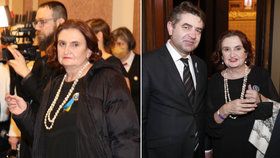 Eva Holubová a ukrajinský velvyslanec Jevhen Perebyjnis si měli co říct