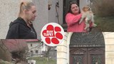 Množitelka z Besedic se nechce vzdát „kšeftů“. Bojuje s úřady, trest dostala dcera