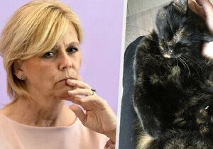 První dáma Eva Pavlová mluvila o smrti kočky Micky.