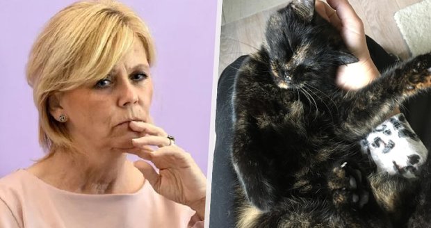 První slova Evy Pavlové o smrti kočky Micky: Odešla s pohlazením v naší blízkosti