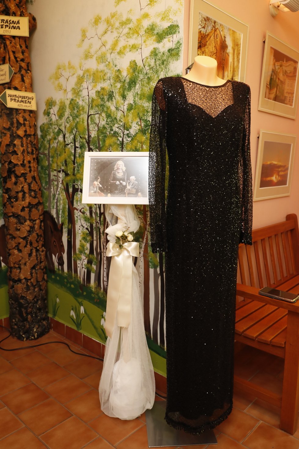 Výstava šatů a fotek Evy Pilarové