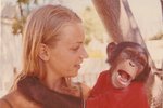 Eva Romanová se svým šimpanzem.