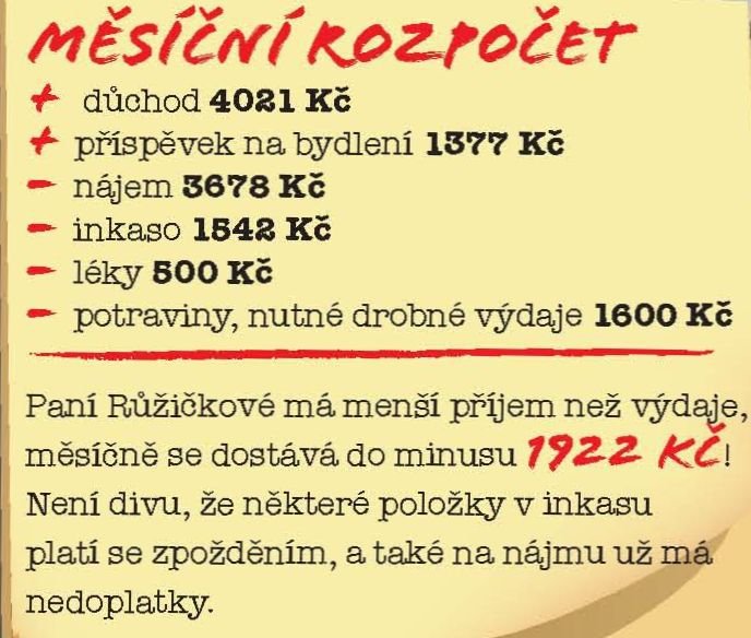 Měsíční rozpočet