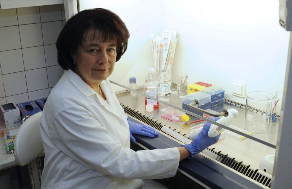 Vědkyně a senátorka Eva Syková (ČSSD) je špičkou ve svém oboru. Dary, které vybírala, šly prý na výrobu kmenových buněk a na nákup přístrojů.