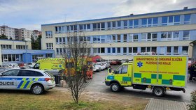 Hasiči a záchranáři zasahovali na základní škole v Plzni kvůli rozlité dezinfekci.