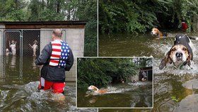 Zoufalé kňučení a štěkot. Majitelé nechali psy napospas hurikánu, sami se evakuovali