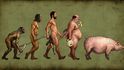 Kde se stala v evoluci chyba?
