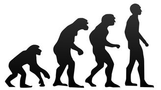 Devadesát procent Američanů pochybuje o Darwinově evoluční teorii