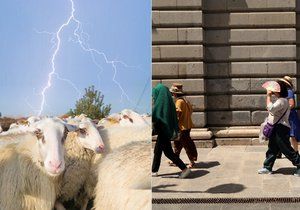 Extrémní počasí si vybírá krutou daň: ve Španělsku umírali lidé, v Srbsku blesk zmasakroval stádo ovcí (3. 8. 2018).