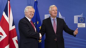 V Bruselu začaly rozhovory o odchodu Velké Británie z Evropské unie. Britský vyjednávač David Davis prohlásil, že s EU hodlá dohodnout nové, hluboké a zvláštní partnerství mezi Británií a jejími evropskými přáteli a spojenci.