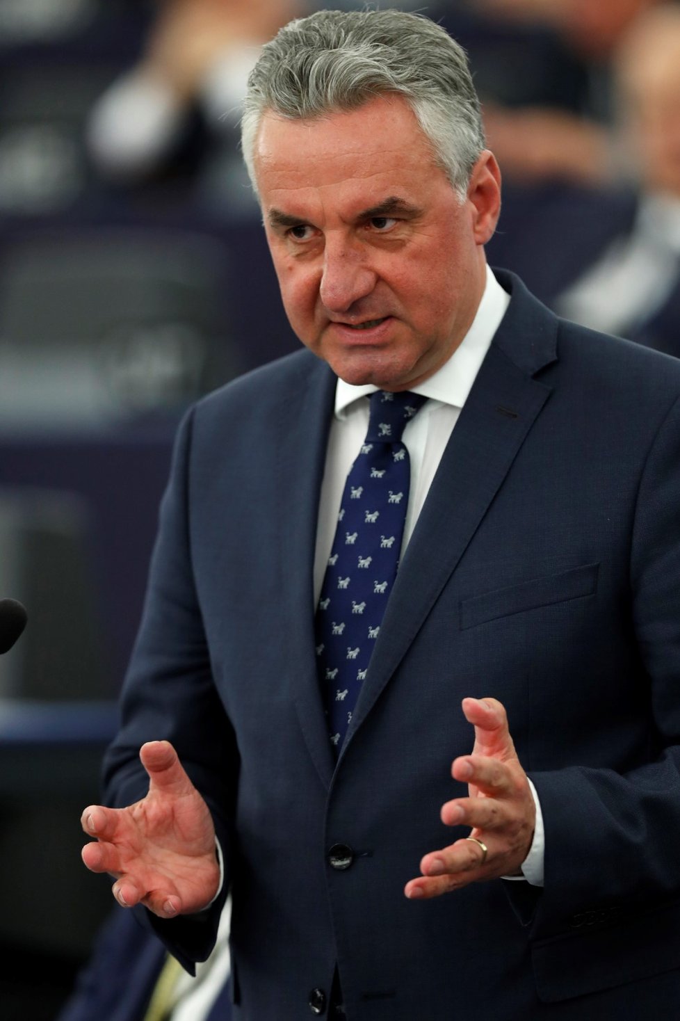 Jan Zahradil během svého projevu v Evropském parlamentu (3. 7. 2019)