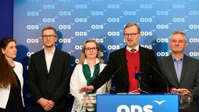 Ve volbách do Evropského parlamentu by nyní nejvíc Čechů volilo hnutí ANO, které má podporu 26 procent možných voličů. Druhá ODS má podporu 16 procent a Piráti 11,5 procenta..