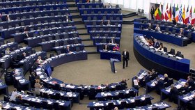 Češi budou volit do Evropského parlamentu 21 svých zástupců. Volby budou 24. a 25. května 2019.