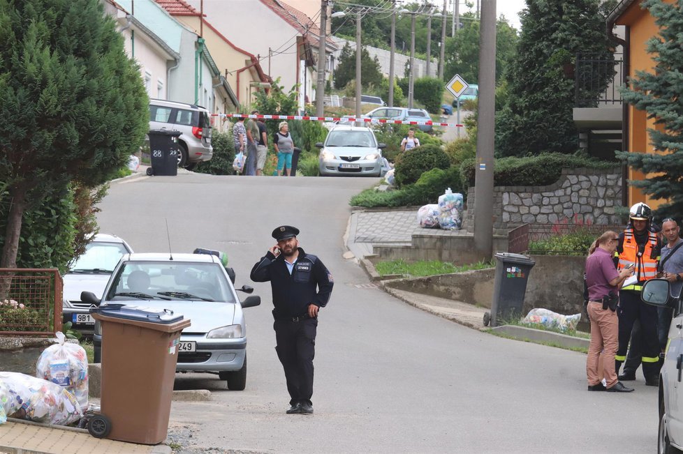 Drama, které ukončila až policejní zásahovka, se odehrálo loni 14. června v Kobylí na Břeclavsku.