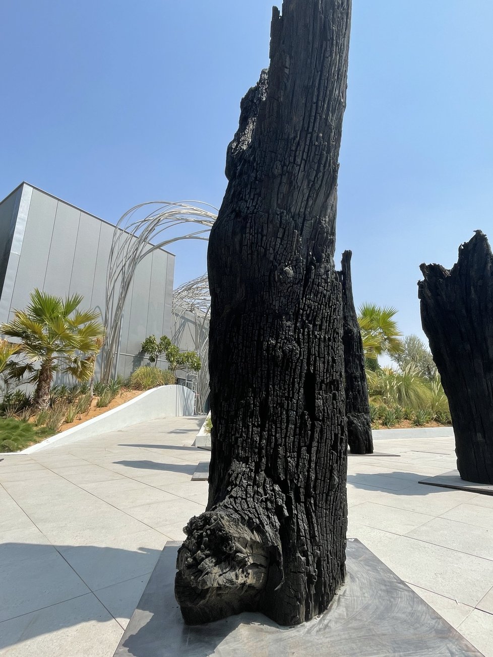 Více než dva metry vysoká socha Black Bone je vyrobená z šest tisíc let starého subfosilního dubu, jedinečného materiálu, který z hlubin země doluje a do světa vrací společnost Subfossil Oak.