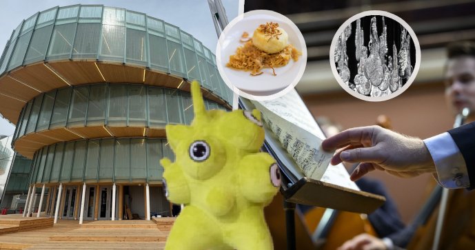 Expo 2025 se blíží: Co všechno Češi plánují?