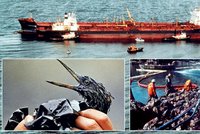 Přesně 25 let od ekologické pohromy na Aljašce: Exxon Valdez zabíjí dodnes!