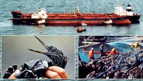 Tanker Exxon Valdez ztroskotal 24. 3. 1989. Ropa pozabíjela statisíce zvířat, zejména ptáků.