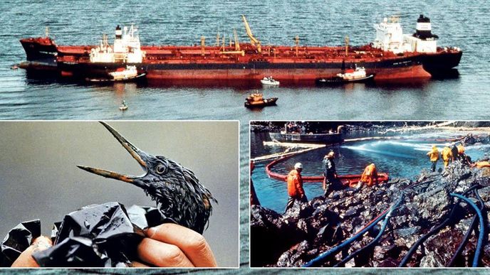 Tanker Exxon Valdez ztroskotal 24. 3. 1989. Ropa pozabíjela statisíce zvířat, zejména ptáků.