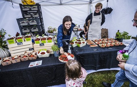 Zakončete léto gastronomickým zážitkem: F.O.O.D. piknik na Ladronce startuje již 29. srpna