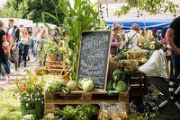 F.O.O.D. piknik, to je celý svět na talíři: Vychutnejte si léto! Už v neděli