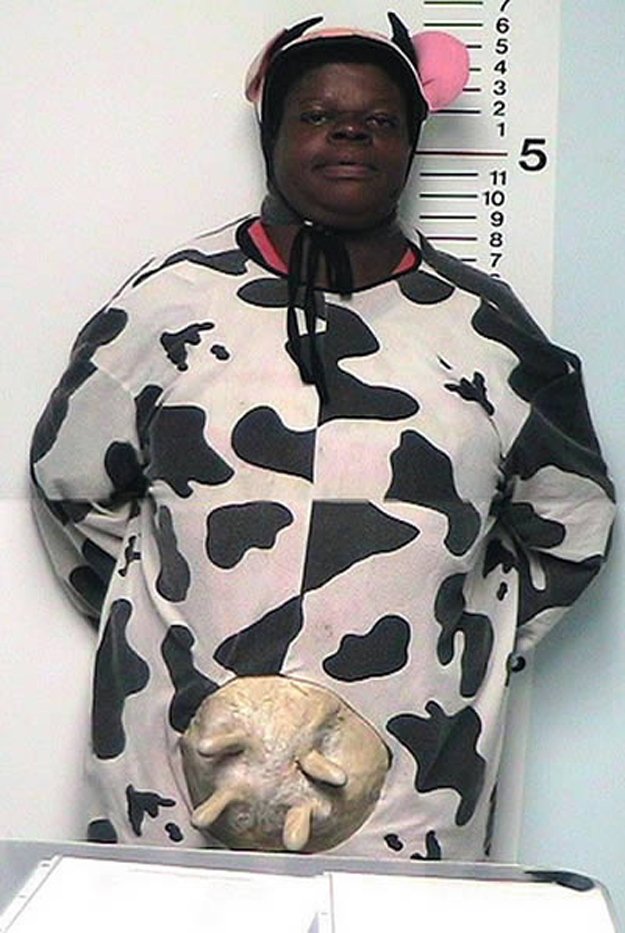 Tahle kráva skončila za mřížemi