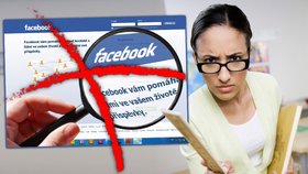 Učitelé ve spolkové zemi Bádensko-Württembersko mají zakázáno používat Facebook a další sociální sítě