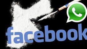 Soud v Brazílii zablokoval americké společnosti Facebook finanční prostředky ve výši 147,4 milionu Kč.