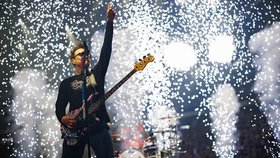 Mark Allan Hoppus (*15. března 1972, Ridgecrest, Kalifornie) je americký zpěvák, baskytarista a skladatel, který se proslavil jako spoluzakladatel pop-punkové kapely blink-182. Jeho melodický basový styl, civilní hlas a smysl pro ironii pomohly definovat zvuk jedné generace. Vedle blink-182 působil také v projektech +44 a Simple Creatures.