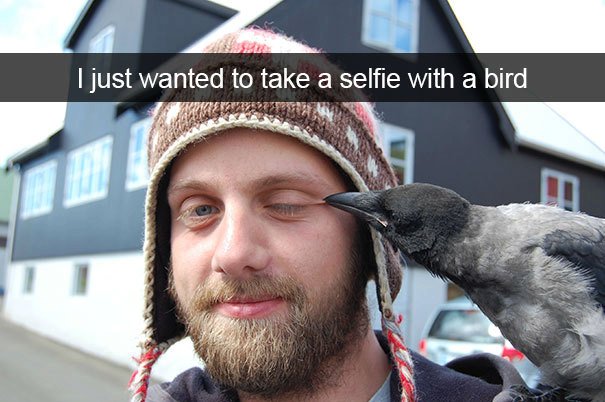 &#34;Chtěl jsem si akorát udělat selfie s ptákem&#34;