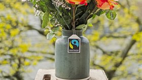 Plodiny vypěstované podle zásad fairtrade.