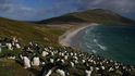 Tučňákům je jedno, jestli žijí na Falklandech, nebo Malvínách.