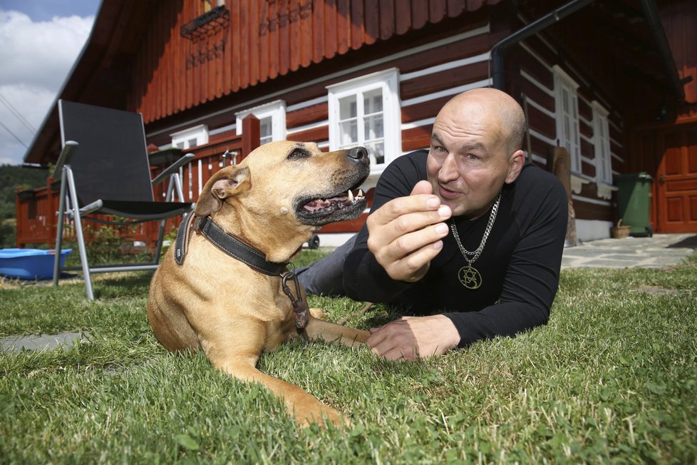 Chalupu obývá i přítulná pitbulka Lolita.