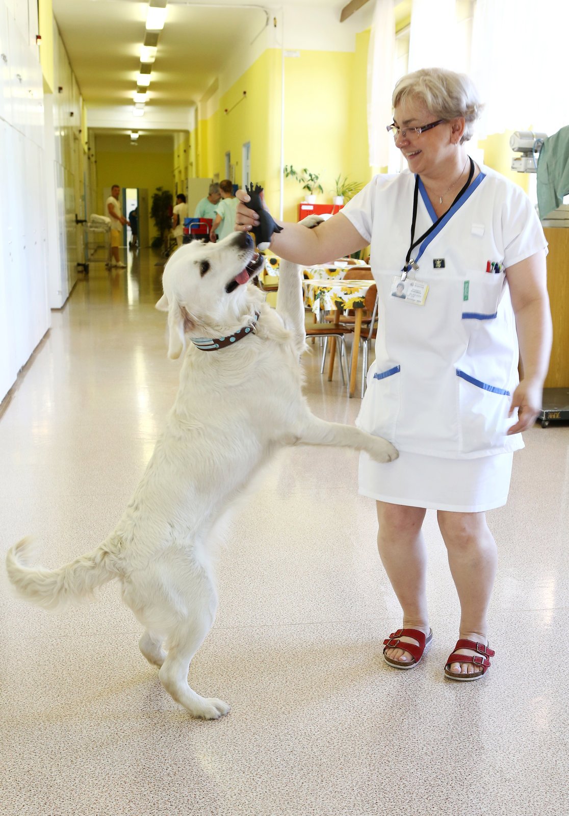 Doktorka Fany v akci