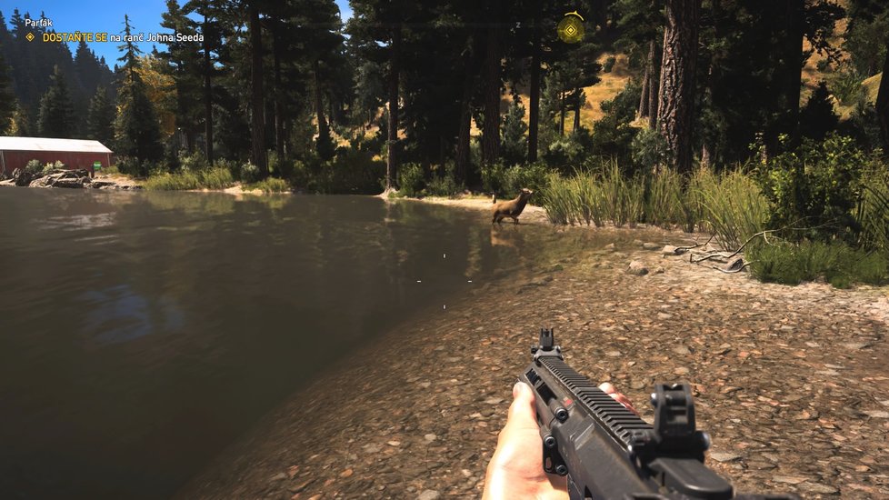 Far Cry 5