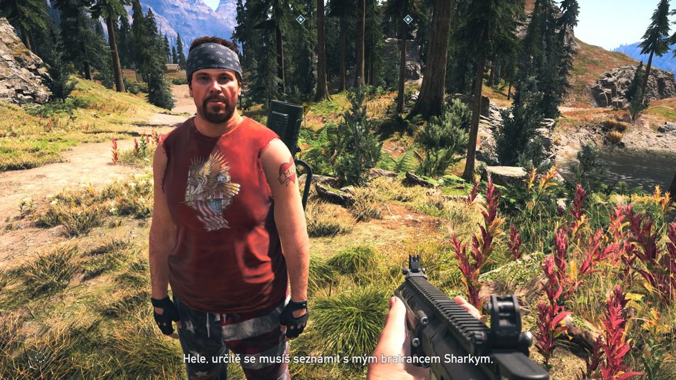 Far Cry 5