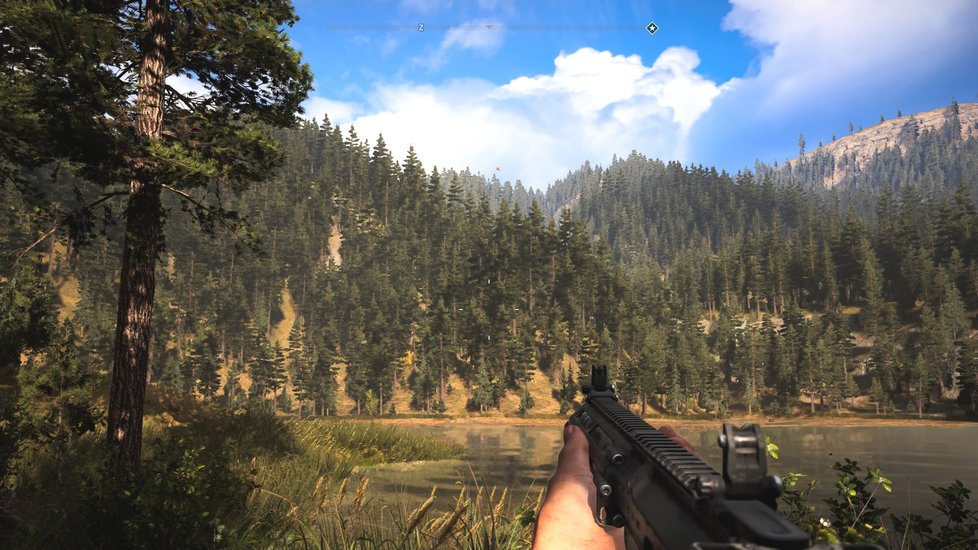 Far Cry 5