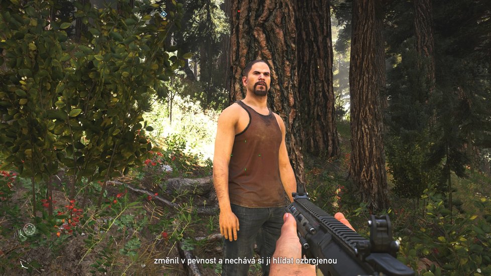 Far Cry 5