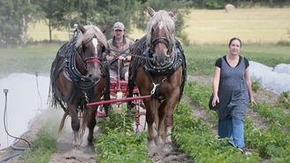 Čeští zemědělci odmítají bruselskou strategii Farm to Fork. Hrozí další zdražování potravin