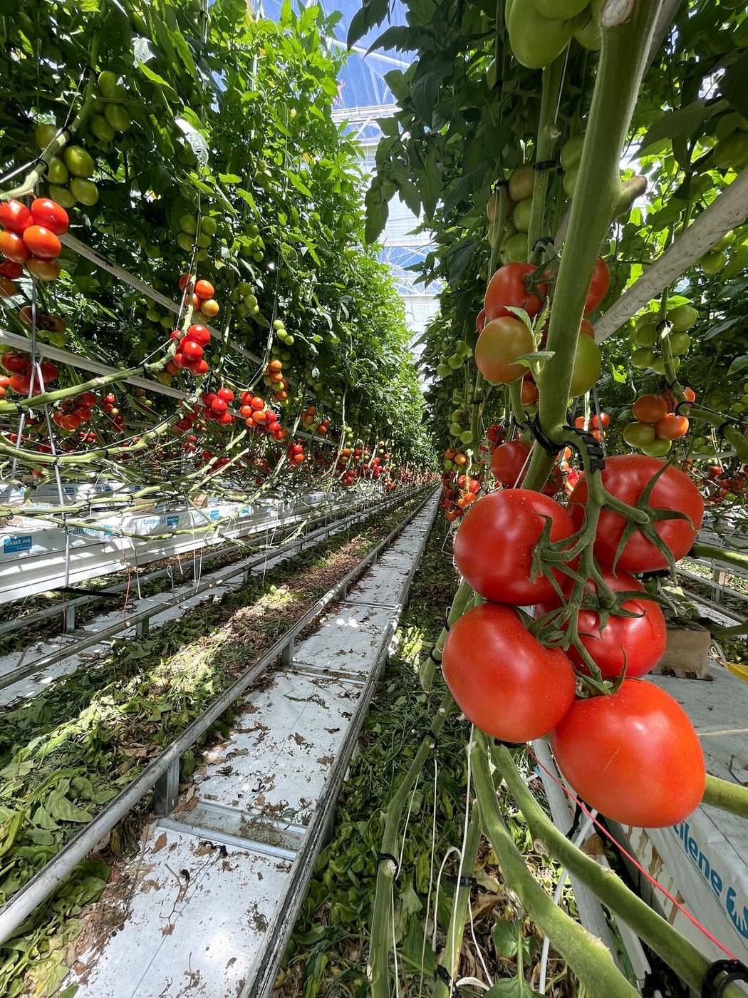 Farma Tušimice