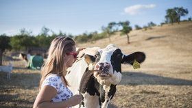 Českou biopotravinou roku je Kaštánkovo sušené vepřové maso