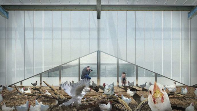 Plovoucí farma pro slepice v nizozemském přístavu Merwehaven