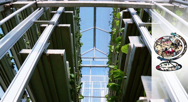 Moderní vynález: Vertikální farma v Singapuru