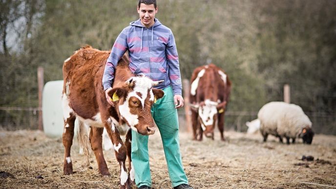 Česko je druhé v počtu mladých farmářů v celé EU