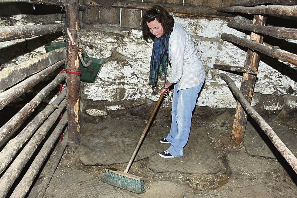 Adriana hádku farmáře a Johany jen nechápavě sledovala a raději se věnovala práci