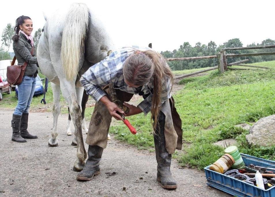 Farmář Petr Hájek