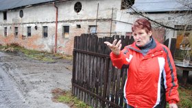 Farmářka Jana Marcolová ukazuje, kudy zloději s traktorem ze statku odjeli. Poničili bránu i lektrický ohradník.